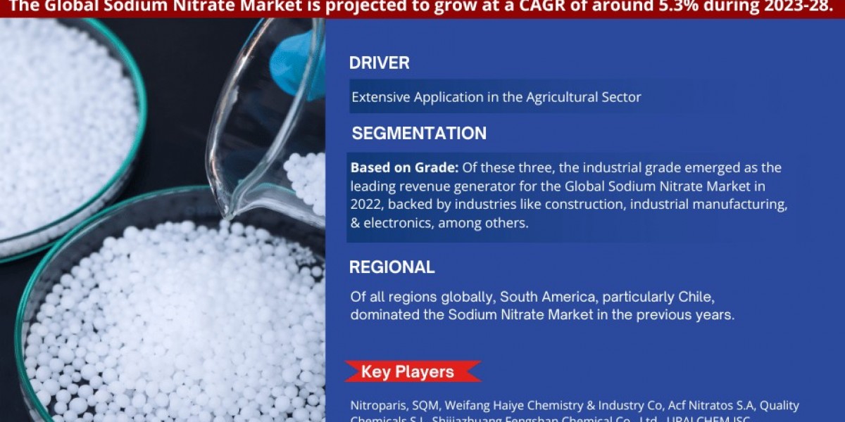 到 2028 年，硝酸鈉市場將以 5.3% 的複合年增長率成長 |產業動態與競爭對手細分