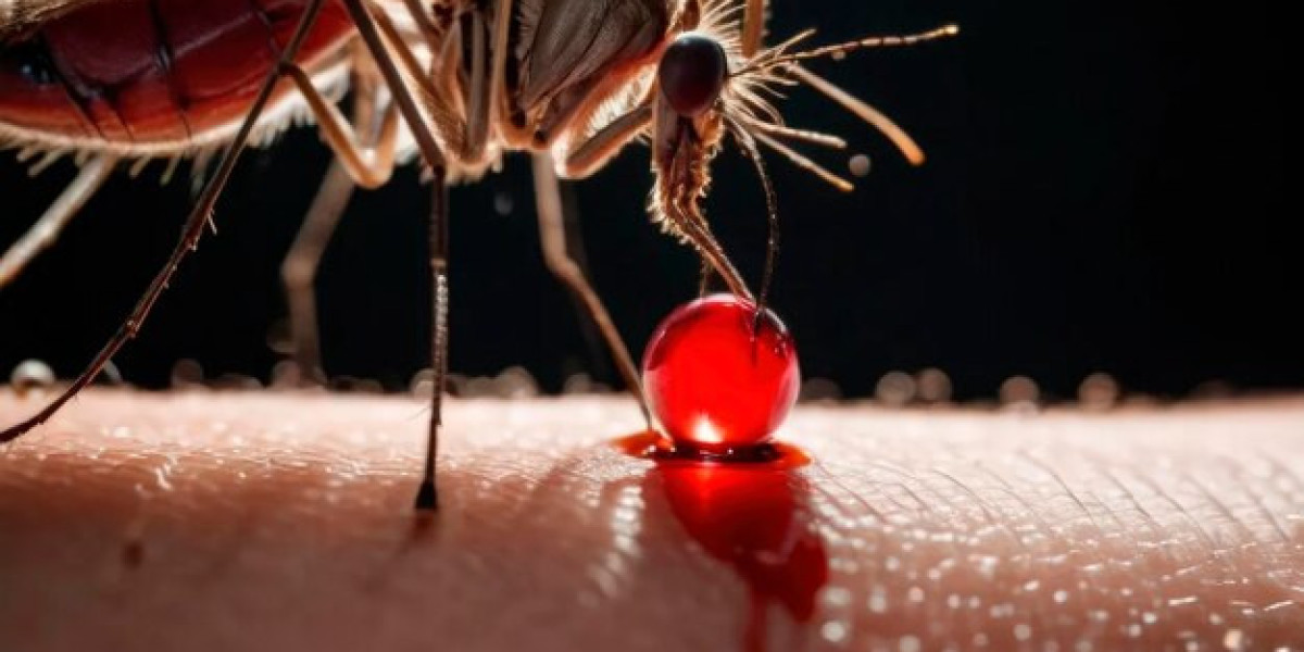 Conquering P. vivax Malaria: Healthcare Innovation and Market Expansion Strategies