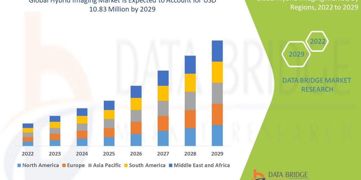 Hybrid Imaging  Market Outlook: Emerging Opportunities & Growth Potential